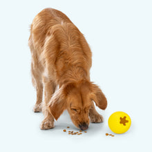 Rumbl Dandelion Enrichment Dog Toy