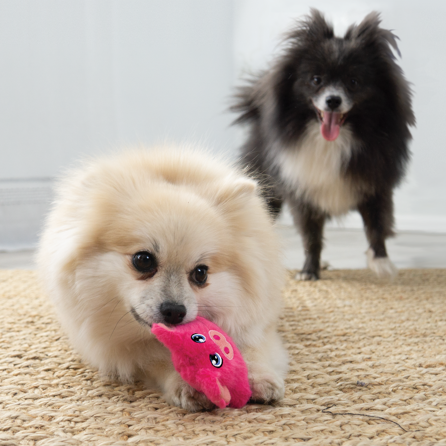 Kong Snuzzles XS Mini Pig