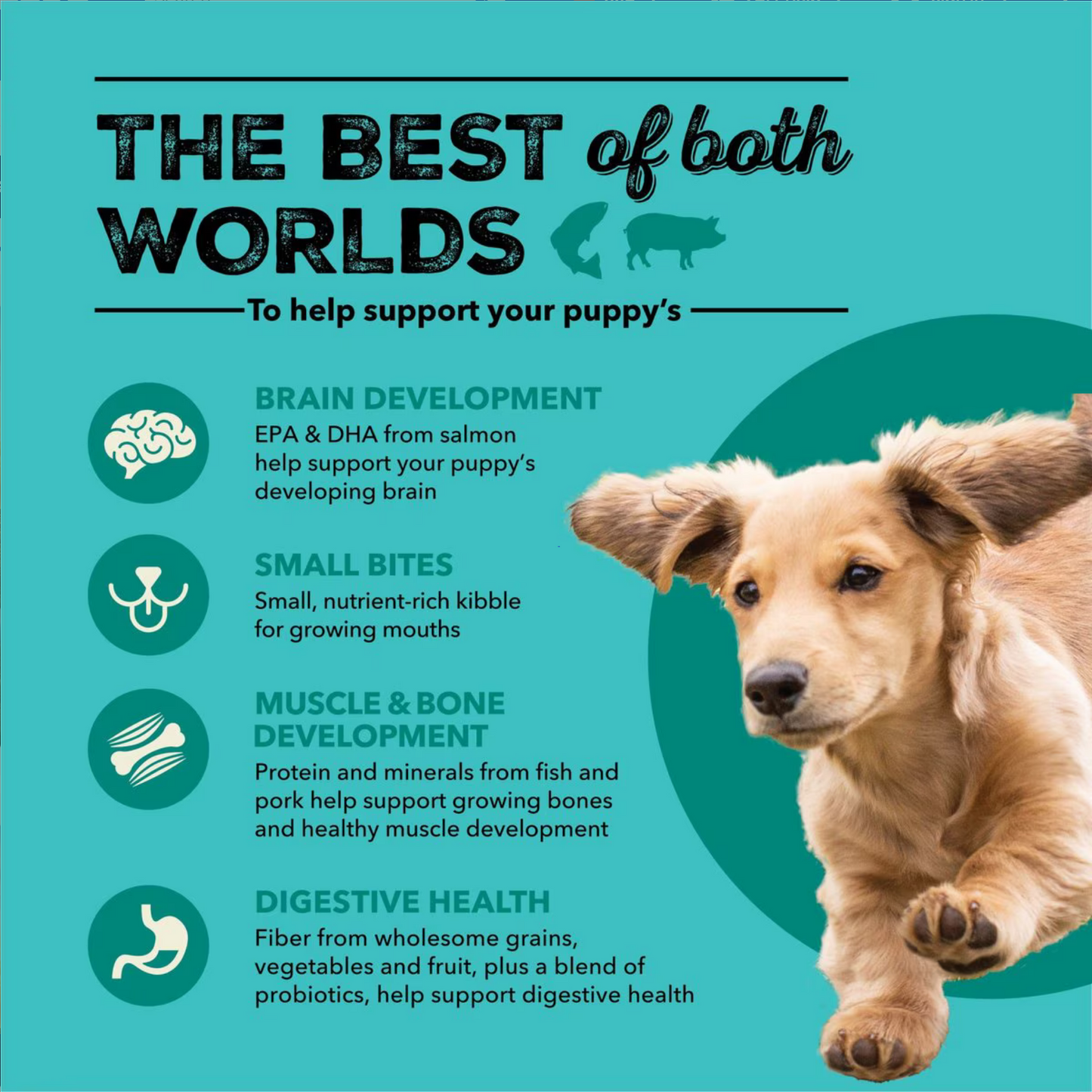 Acana Puppy Sea To Farm Dog Food