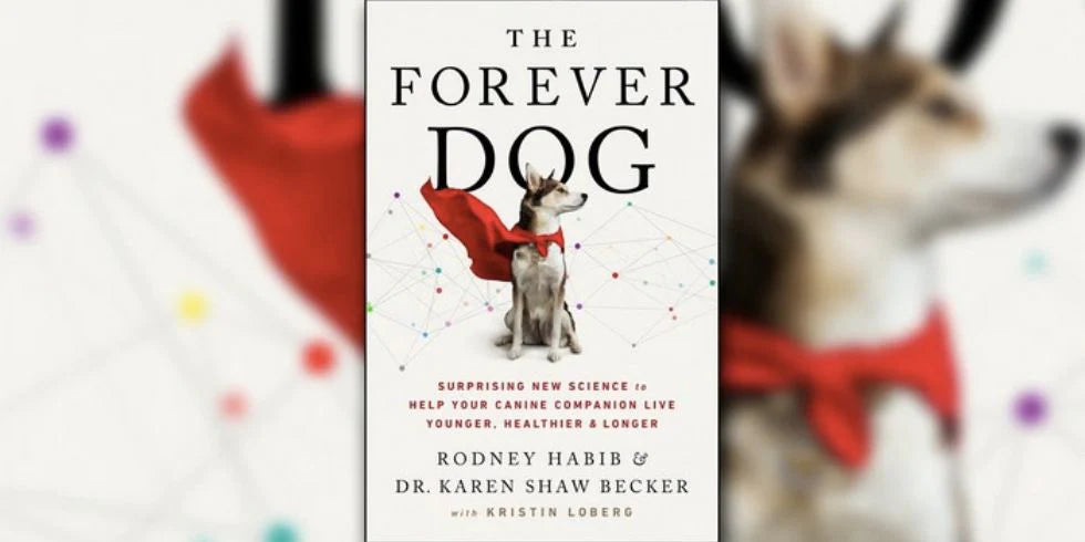 Rodney Habib & Dr Karen Becker The Forever Dog