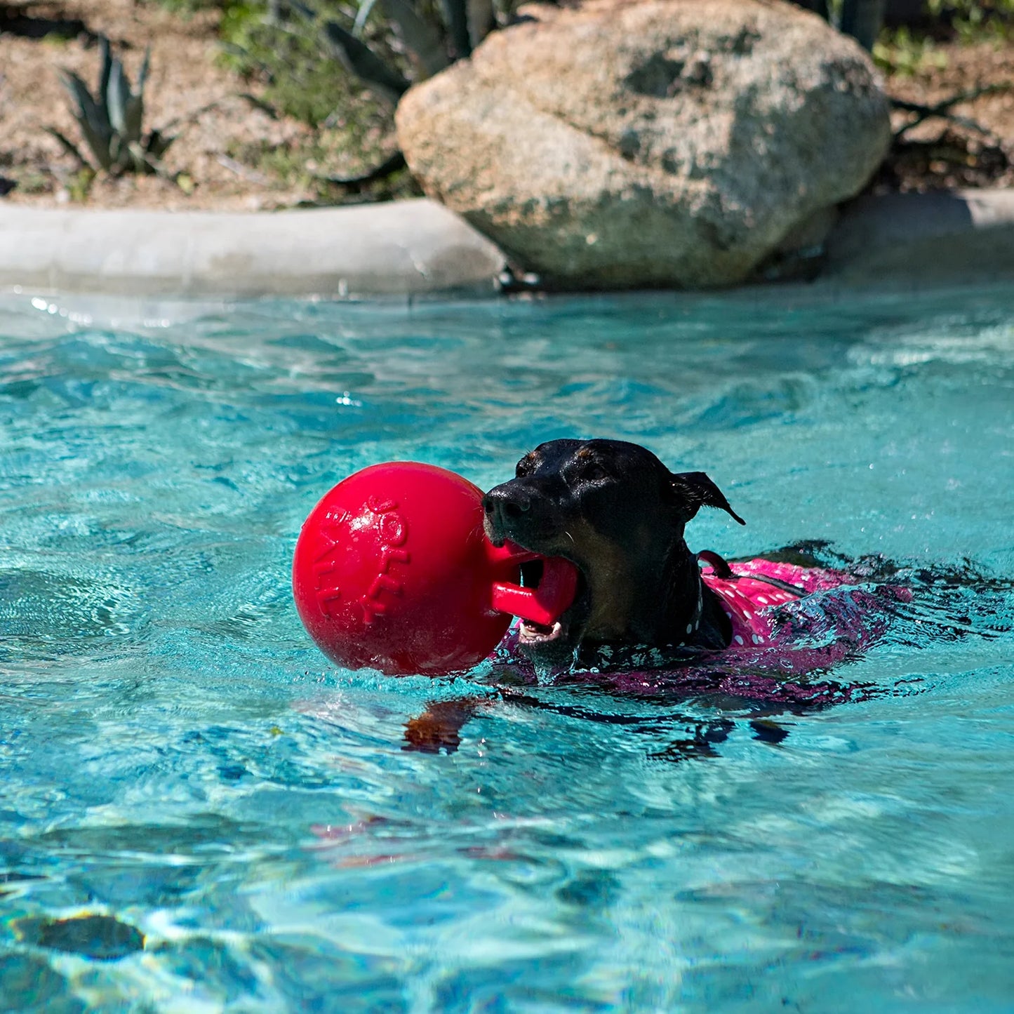 Jolly Pets Tug-n-Toss Asst'd