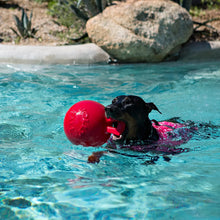 Jolly Pets Tug-n-Toss Asst'd