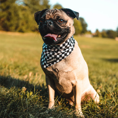 Bcuddly Rock Out Bandanna