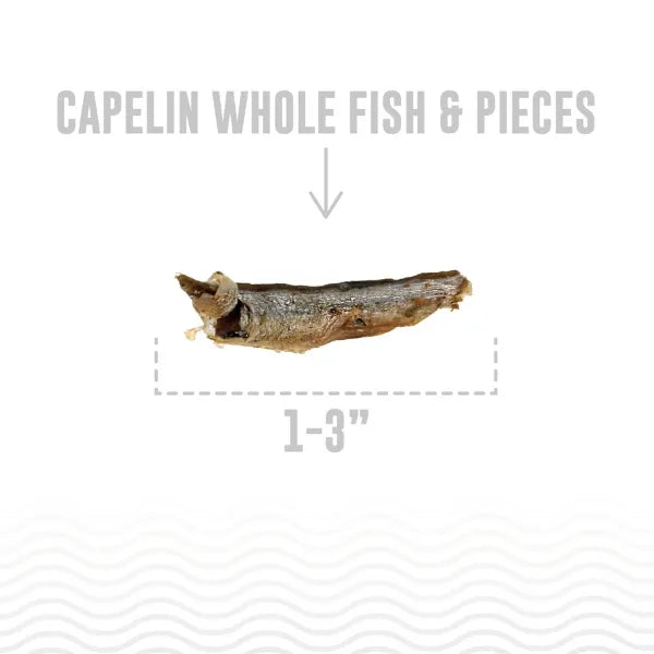 Icelandic Capelin Whole Fish Cat Treats 1.5oz