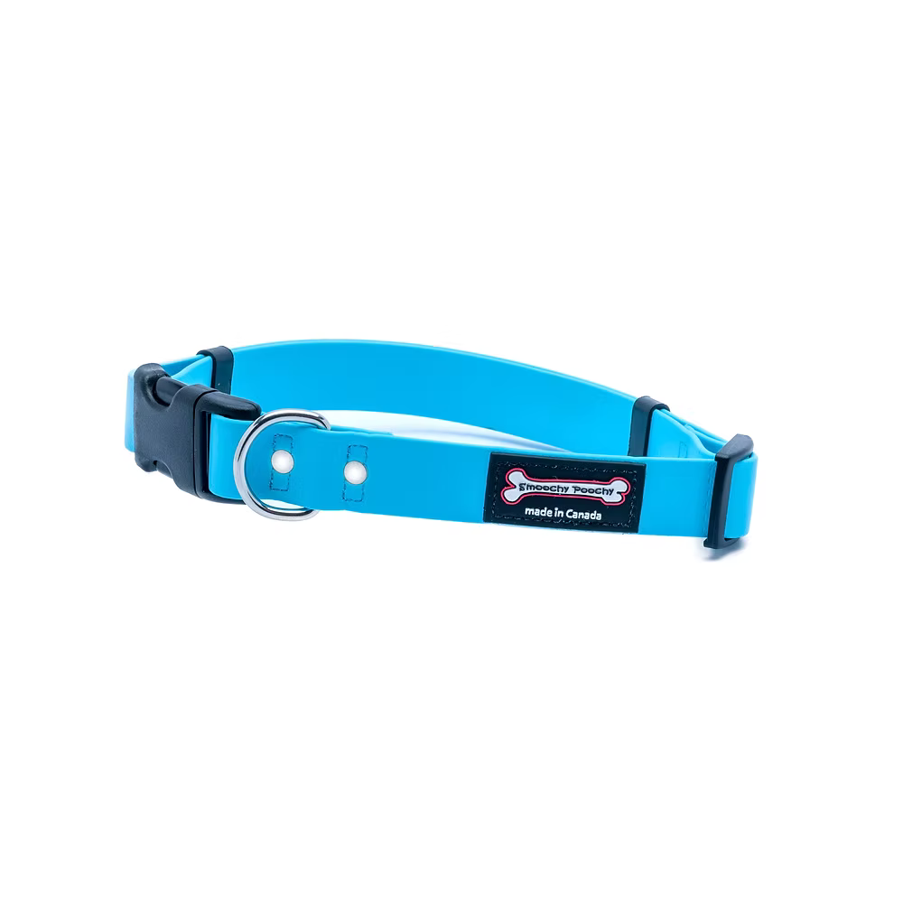 Smoochy Poochy Turqouise Quick Release Biothane Collar