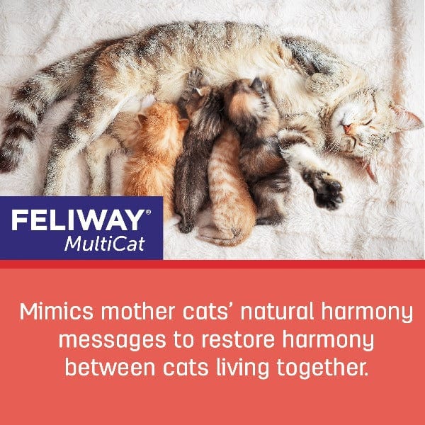 Feliway Friends 30 Day Refill 48Ml