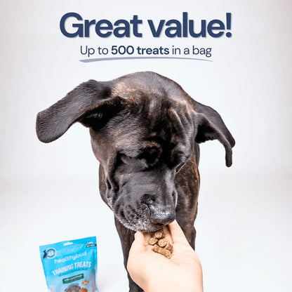 Healthybud Salmon Mini Training Treats with Superfood 184g