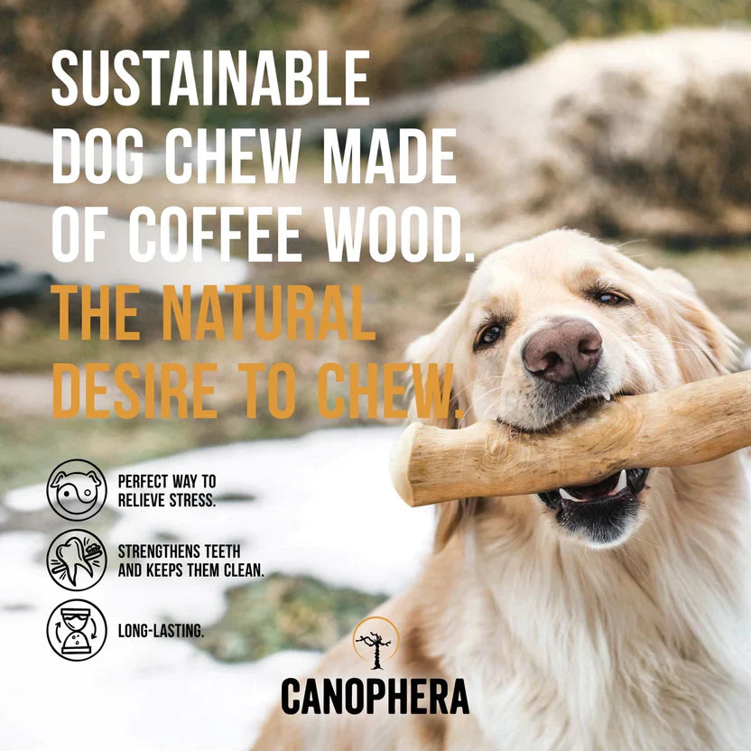 Canophera Natural Coffee Wood Dog Chew