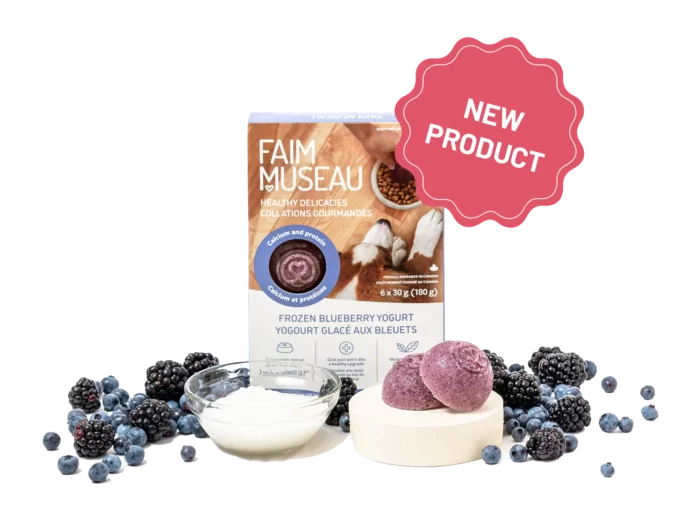 Faim Museau Healthy Delicacies Frozen Blueberry Yogurt 6 x 30g