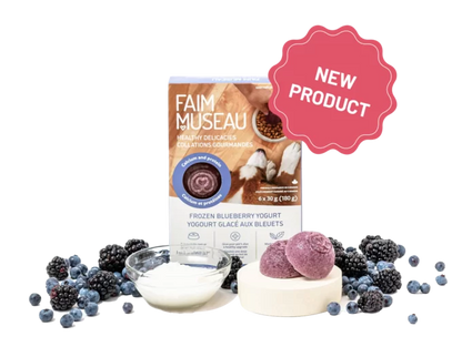 Faim Museau Healthy Delicacies Frozen Blueberry Yogurt 6 x 30g