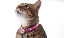 Twin Cat Products Beastie Bands Cat Collar - Asst'D