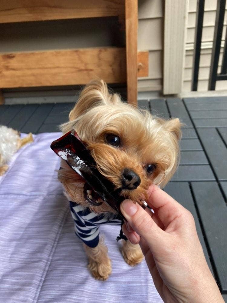 Wag & Bright Supply Co. 🍁Mighty Marrows Beef Liver Collagen Chew Small
