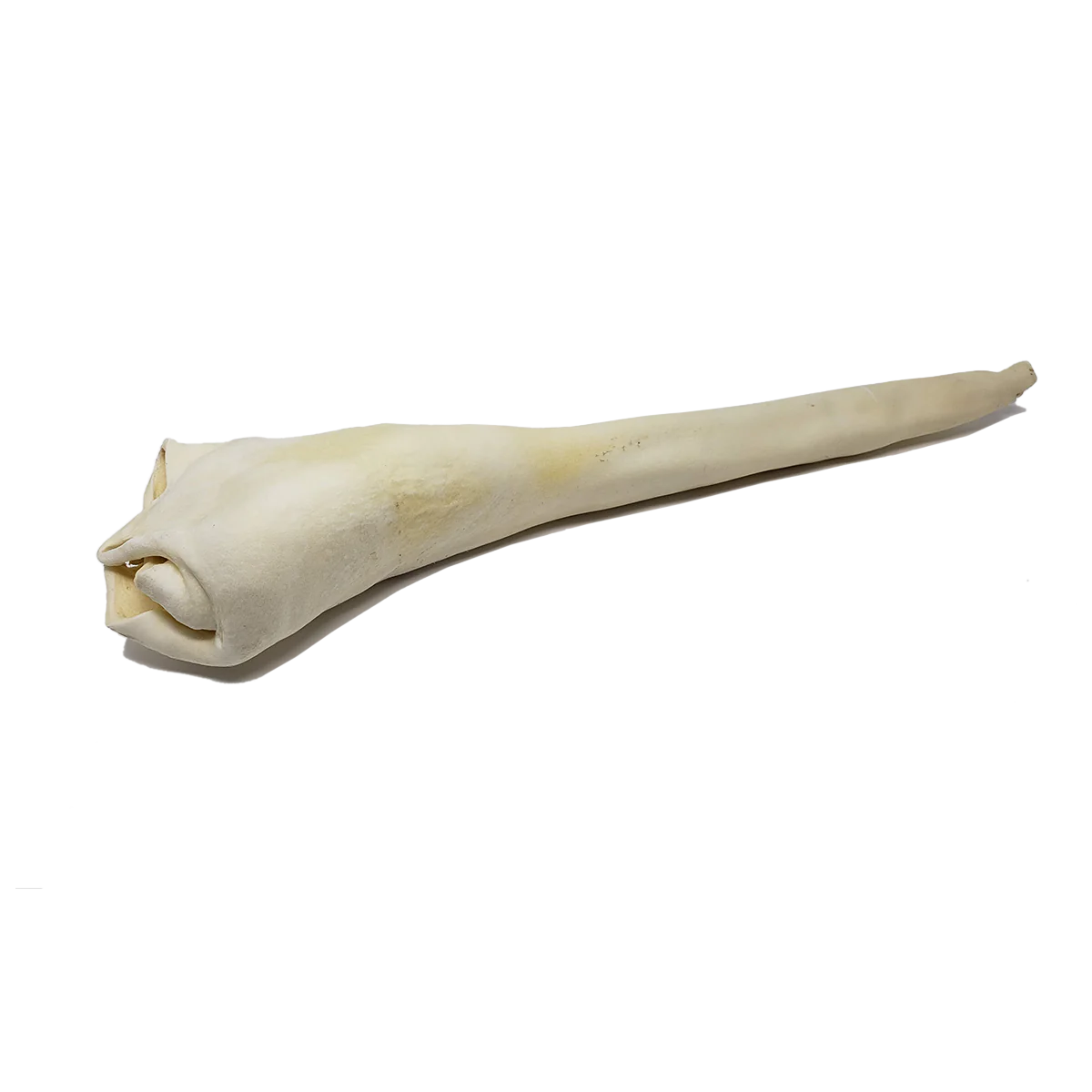 Open Range Full Length Bull Tail Dog Chew