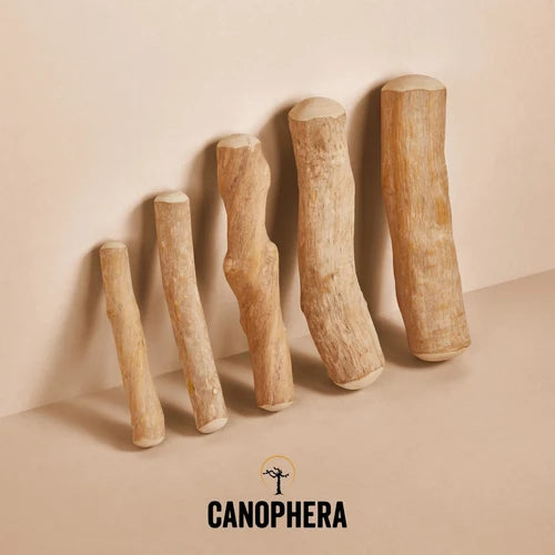 Canophera Natural Coffee Wood Dog Chew