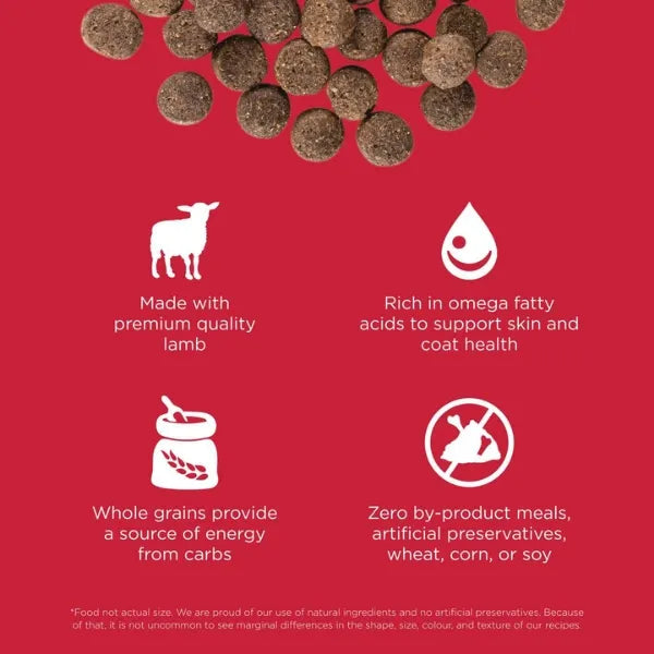 Go! Dog 12lb Lamb Skin & Coat Recipe