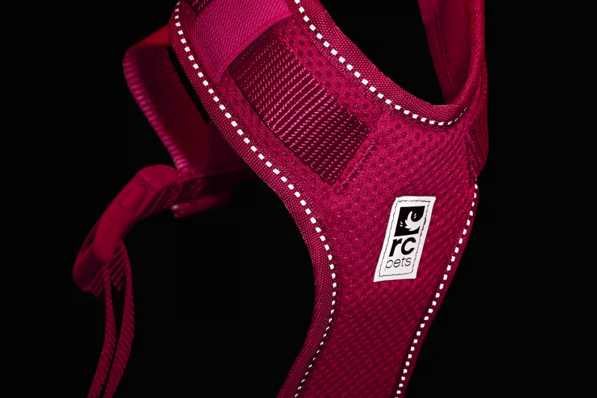 RC Pets Small Azalea Moto Control Harness