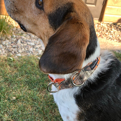Wiggle Bumz🍁Tree Camo Orange Martingale Dog Collar