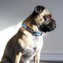 BCuddly Tye Dye Dog Collar