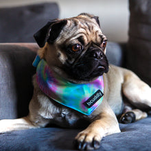 Bcuddly Tie Dye Bandannas