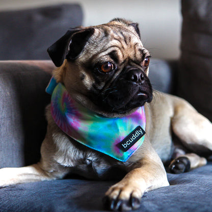 Bcuddly Tie Dye Bandannas