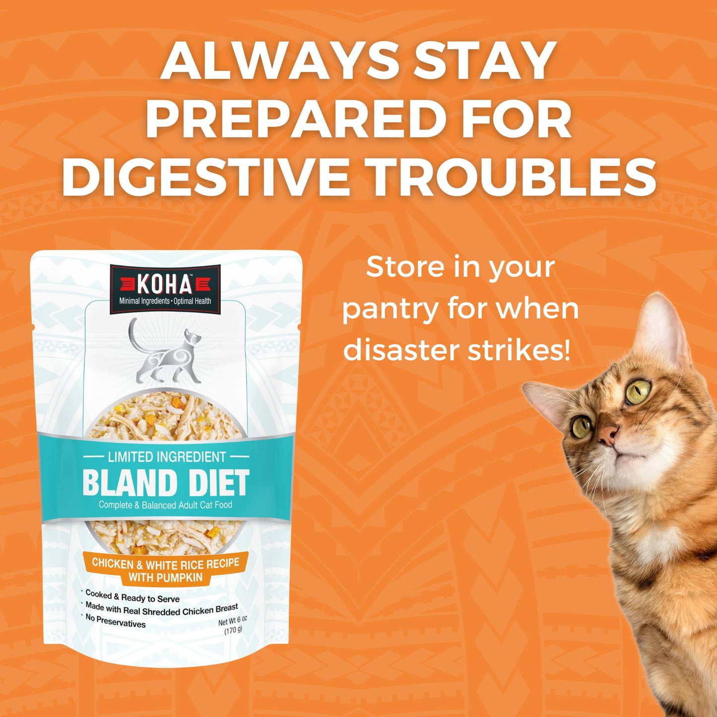 Koha Bland Diet Chicken & White Rice with Pumpkin for Cats 2.8oz