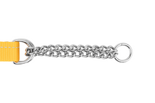 RC Pets Sapphire Primary Training Clip Collar