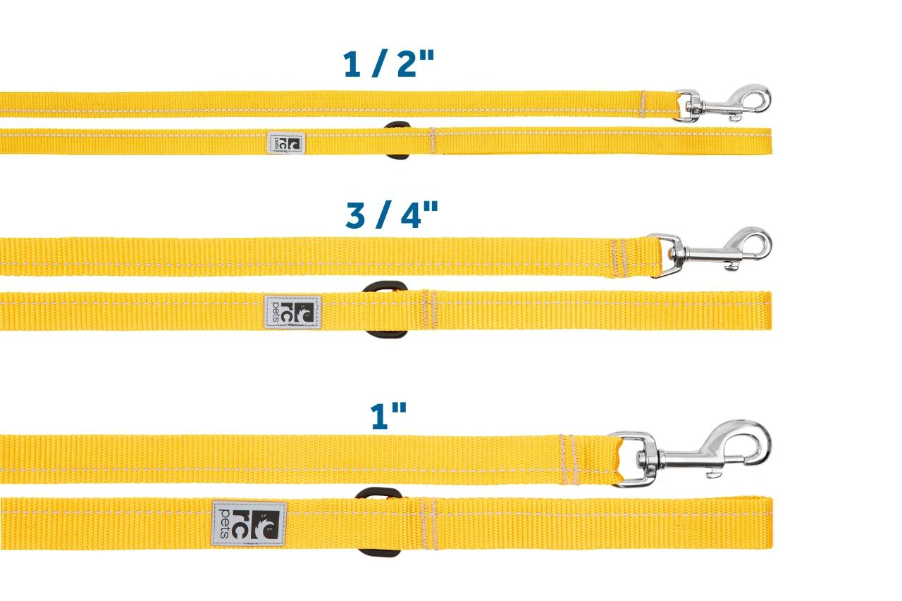 RC Pets Sapphire Primary Leash