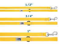 RC Pets Sapphire Primary Leash