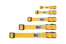 RC Pets Sapphire Primary Collar