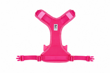RC Pets Moto Control Goji Berry & Burgundy Harness