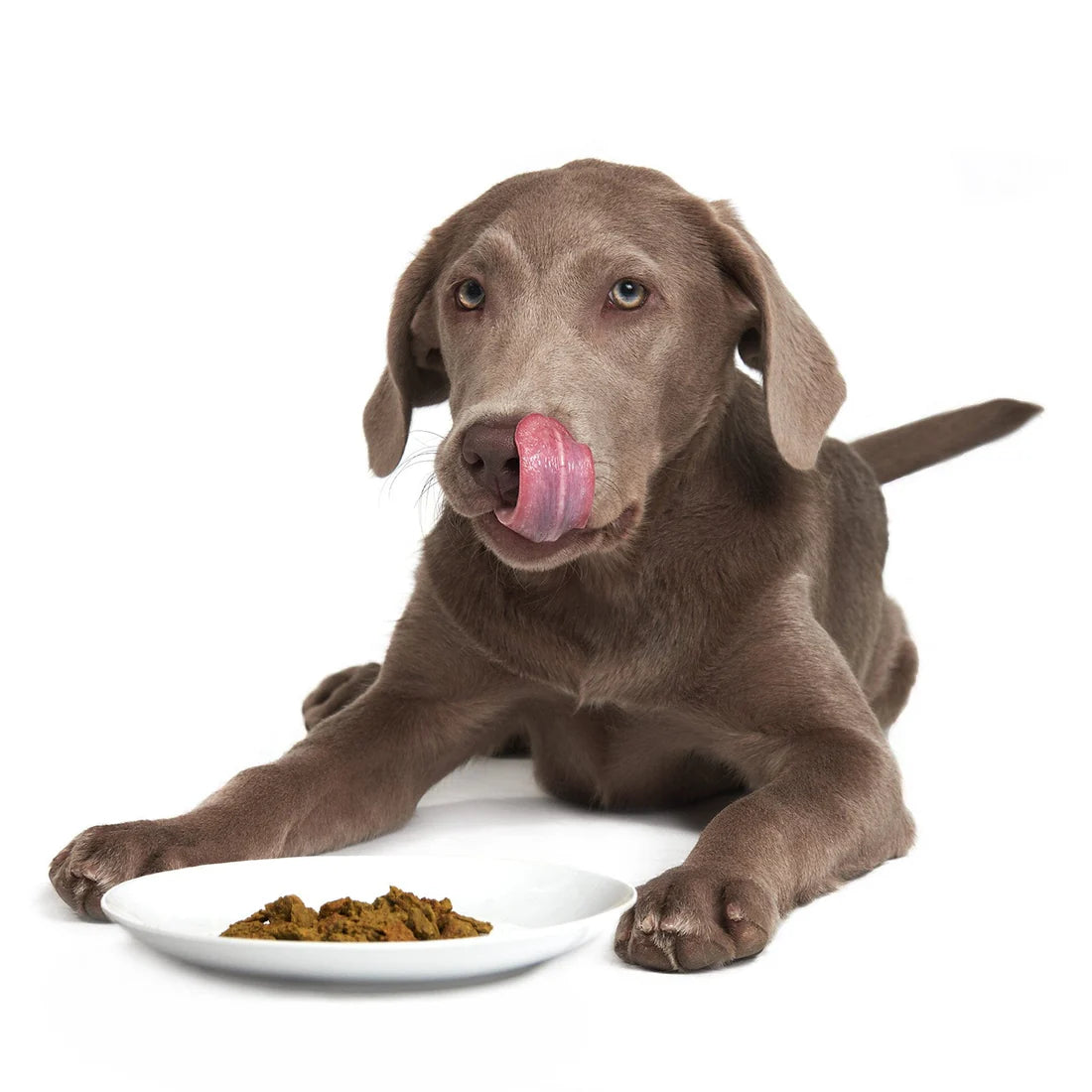Smack 🍁Lip-Smacking Lamb Dehydrated Raw Dog Food