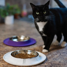 Messy Cats Marble Silicone Feeder w/ Stainless Steel Bowl 1.75cups