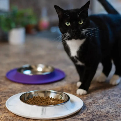 Messy Cats Marble Silicone Feeder w/ Stainless Steel Bowl 1.75cups