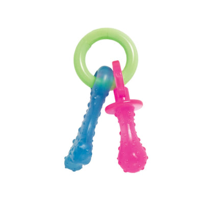 Nylabone Puppy Pacifier