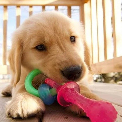 Nylabone Puppy Pacifier