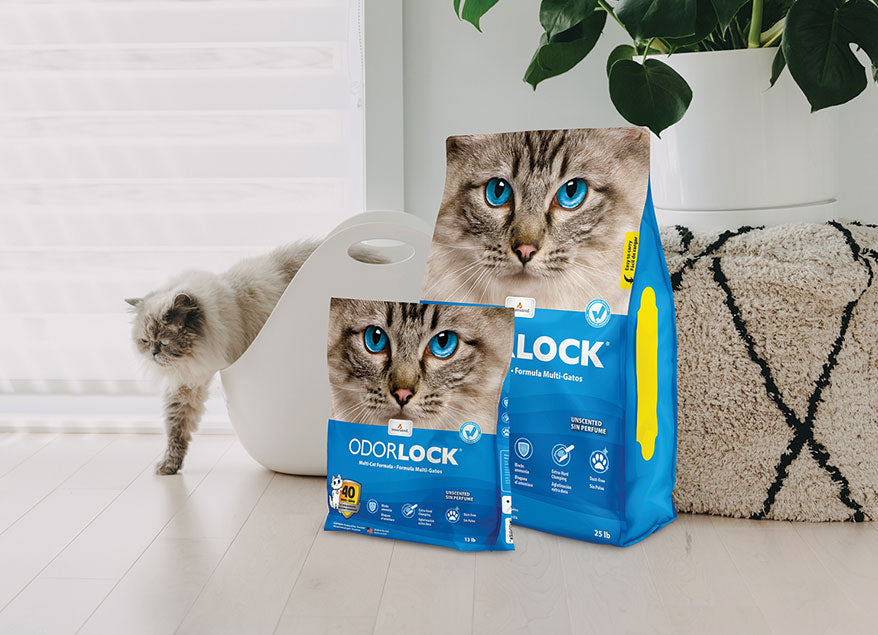 Intersand Odourlock Ultra Premium Unscented Clumping Cat Litter