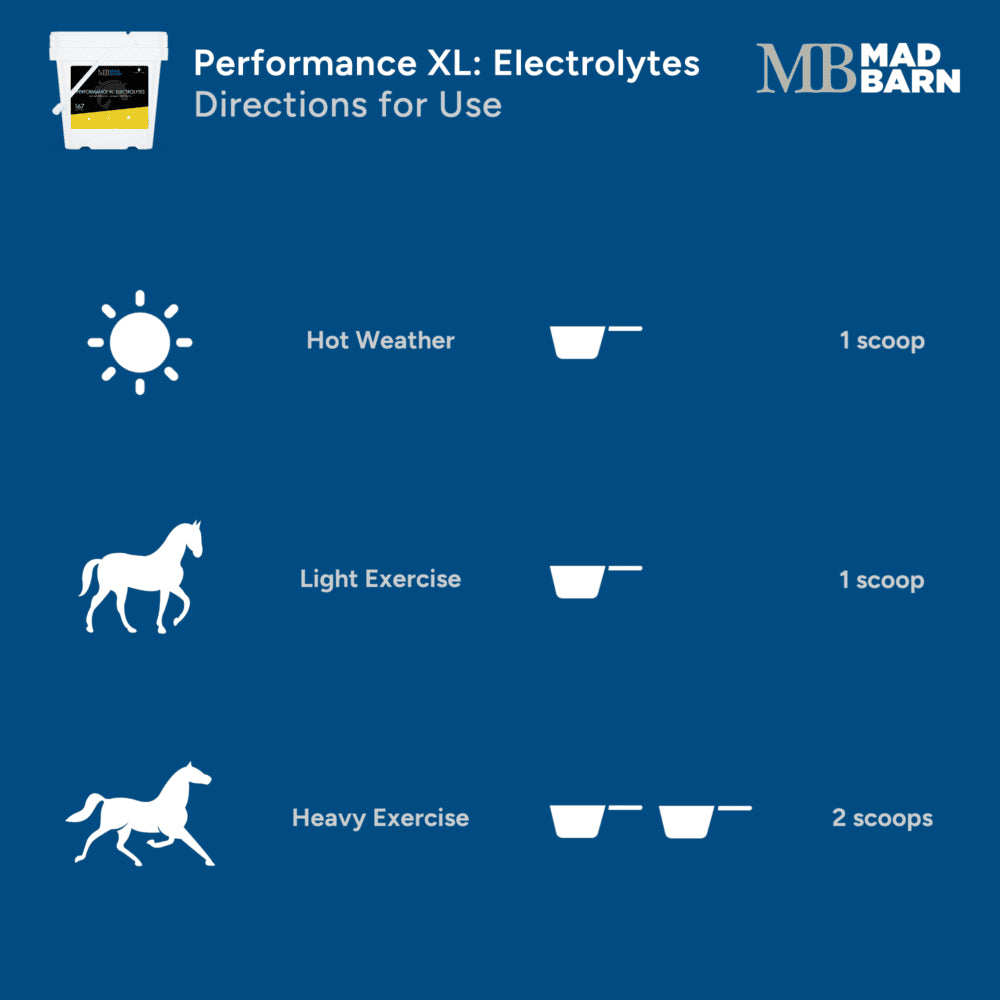 MadBarn Performance XL: Electrolytes