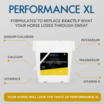 MadBarn Performance XL: Electrolytes