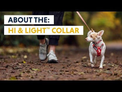 RUFFWEAR Alpenglow Pink Hi & Light Dog Collar