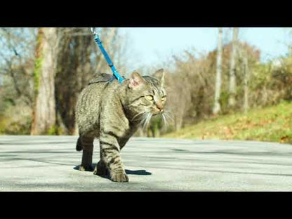 Come With Me Kitty Harness & Bungee Leash Red