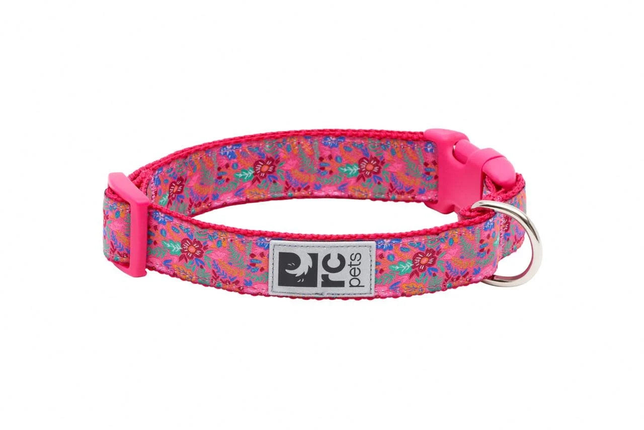 RC Pets Petite Frida 1/2" Clip Collar