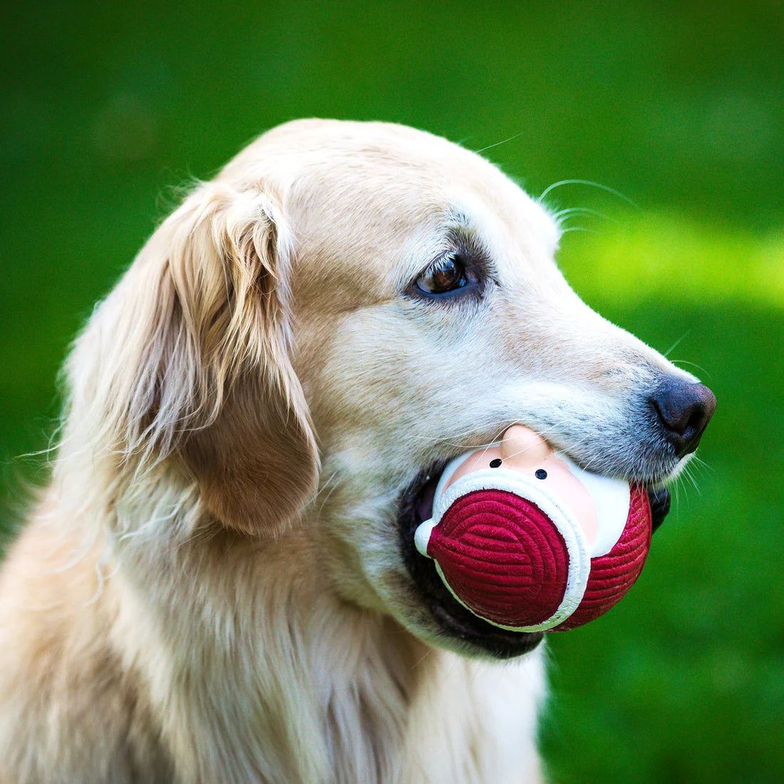 Huggle Houndz Ruff-Tex Santa Ball Dog Toy
