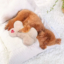 All For Paws Little Buddy-Heart Pillow