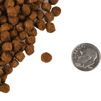 Fromm Four Star Trout & Whitefish for Cats 4lb