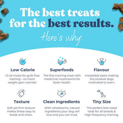healthybud Training Treats with superfoods 6.5oz