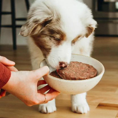 Faim Museau 🍁Simply Beef for Dogs & Cats