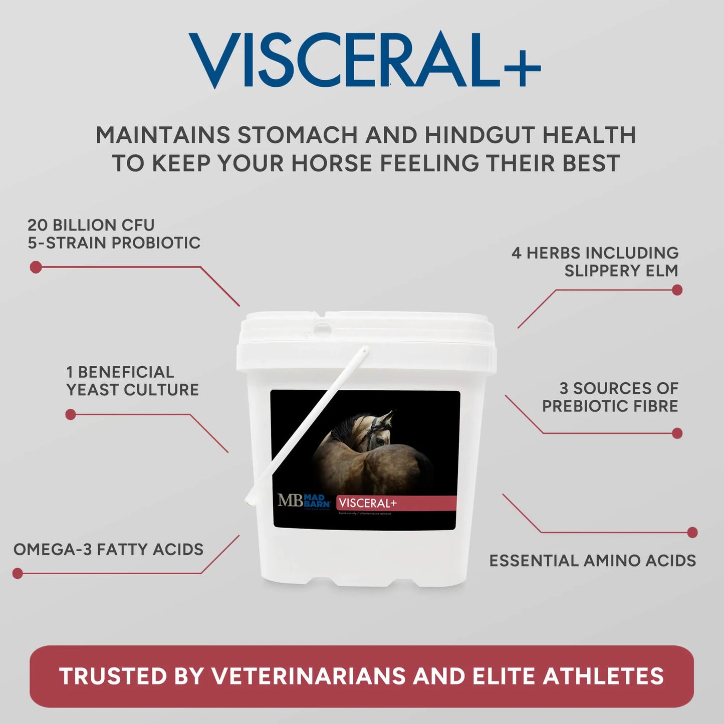 MadBarn🍁 Visceral +