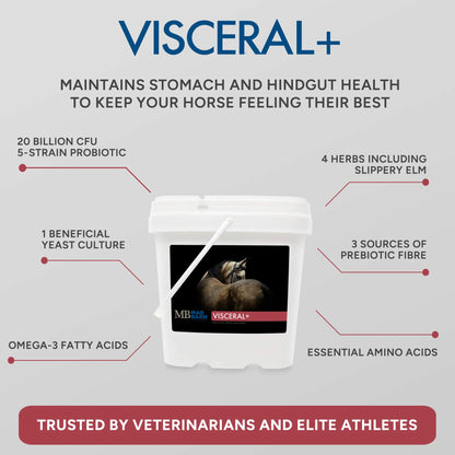 MadBarn🍁 Visceral +